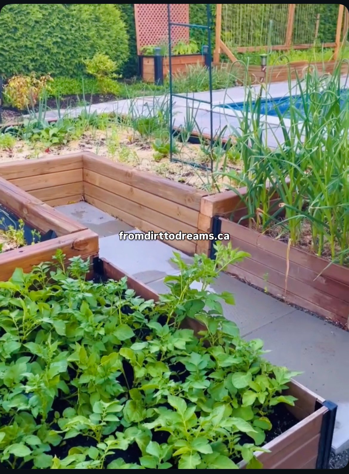 The Self-Sufficiency Uprising — Why Growing Your Own Food Is the New Rebellion