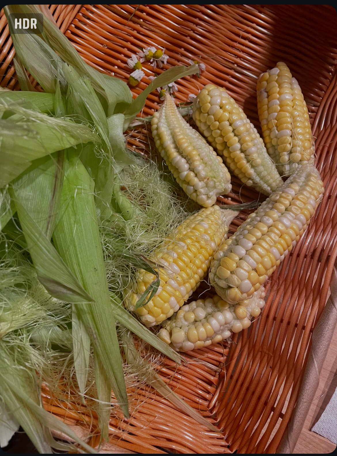 My Backyard Became My Therapy, My Grocery Store & My Escape From Burnout