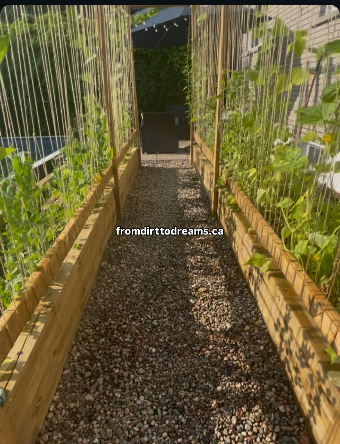 How to Start a Self-Sufficient Life on a Budget (Even If You’re Broke, Busy, or Living in the City)**